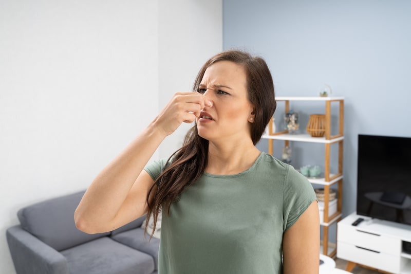 Why Does My Heat Pump Smell Musty in Palmetto Bay, FL?